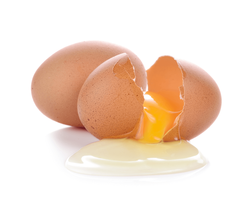 Two brown chicken eggs, one smashed